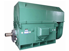 YJTKK4505-2YKK系列高压电机