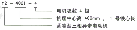 YR系列(H355-1000)高压YJTKK4505-2三相异步电机西安西玛电机型号说明